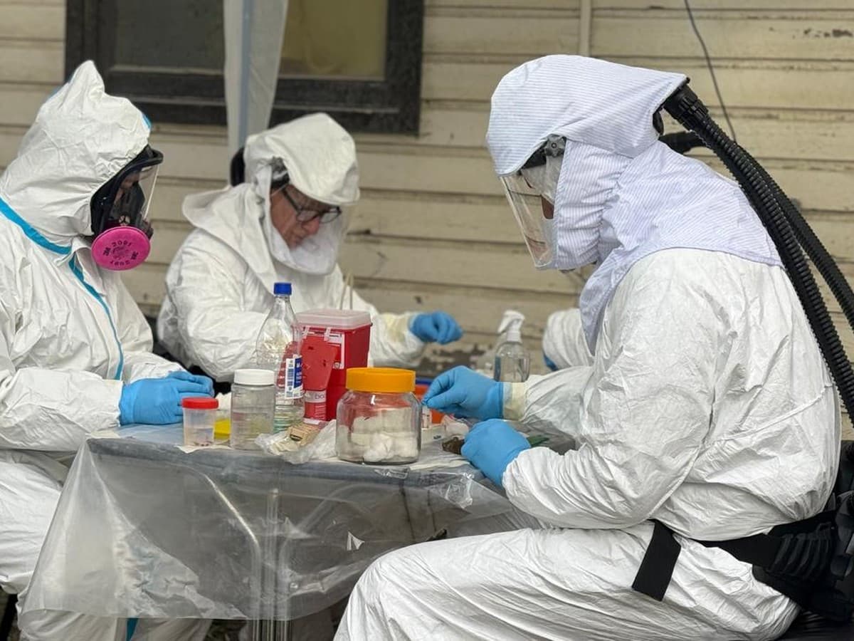 Salud descartó circulación del hantavirus